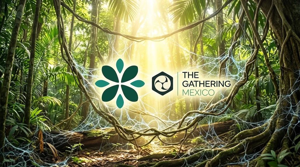 Jungle with glowing mycelium threads, with the EcoHubs and The Gathering México logos