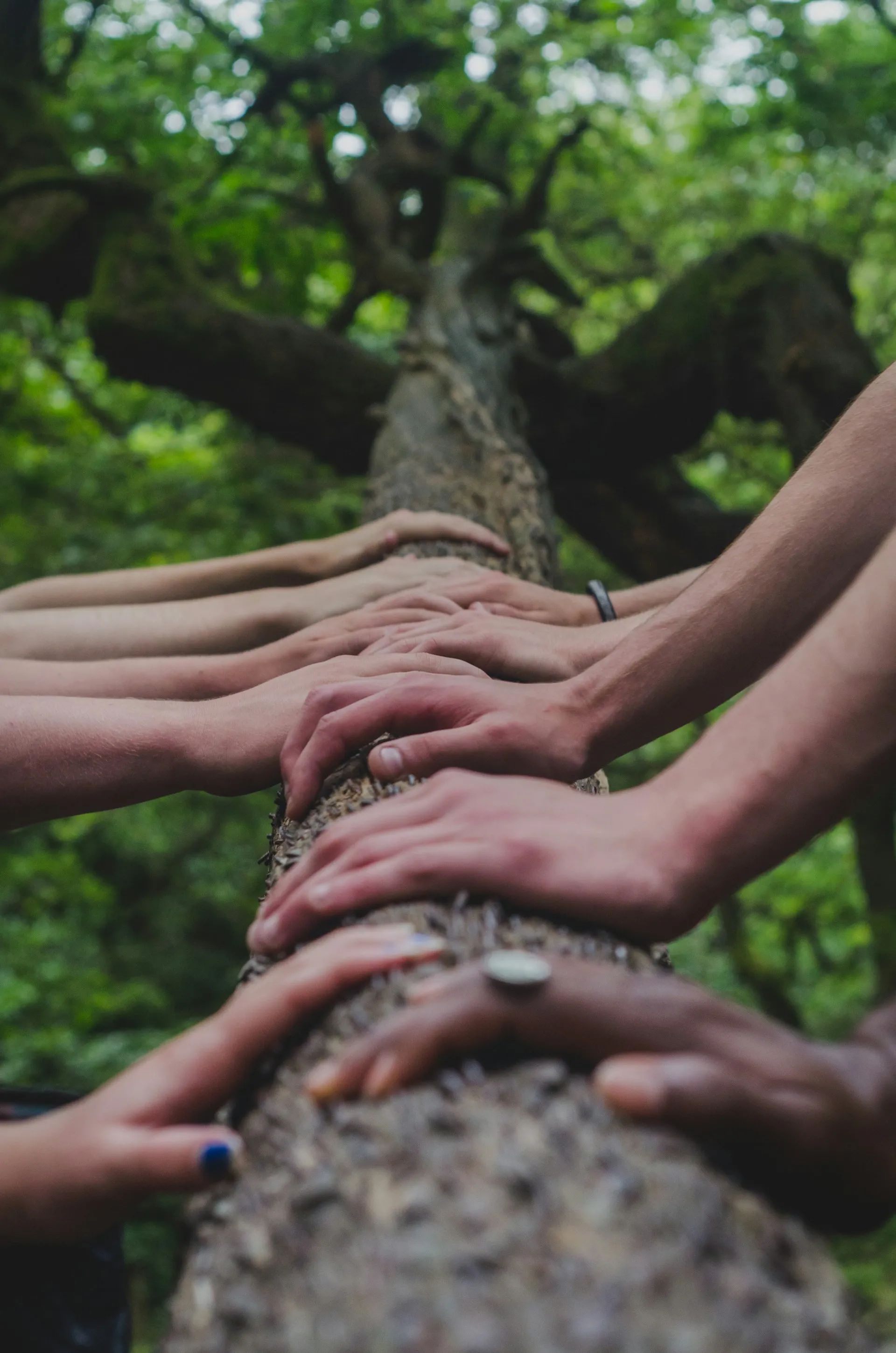Community working together